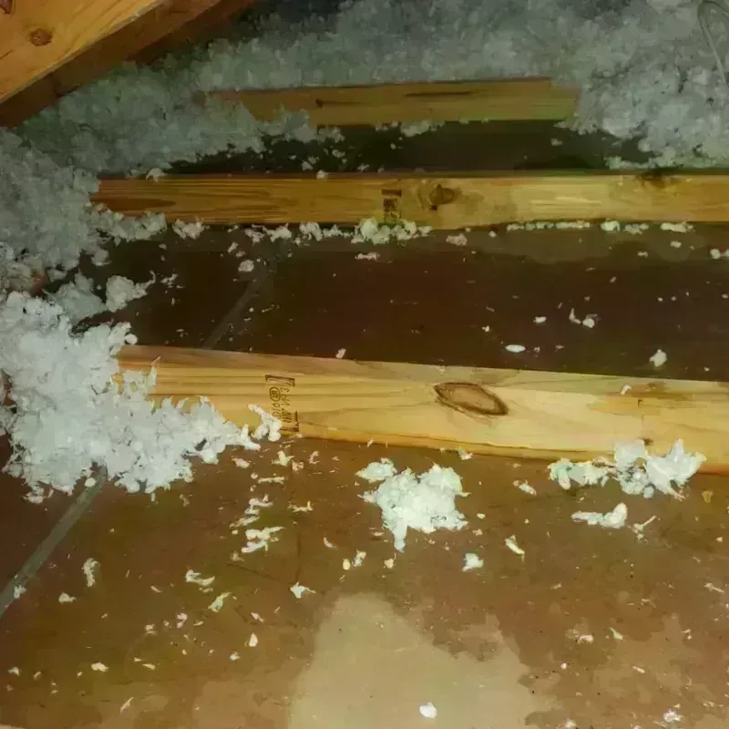 Attic Water Damage in Jamestown, KY